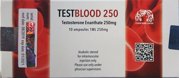 Testblood enanthate  300mg/cc  10 ampoules each 1ml
